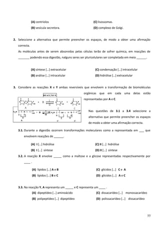 (A) centríolos

(C) lisossomas.

(B) vesícula secretora.

(D) complexo de Golgi.

2. Seleccione a alternativa que permite preencher os espaços, de modo a obter uma afirmação
correcta.
As moléculas antes de serem absorvidas pelas células terão de sofrer química, em reacções de
_______ podendo essa digestão, nalguns seres ser pluricelulares ser completada em meio ______.

(A) síntese […] extracelular

(C) condensação […] intracelular

(B) análise […] intracelular

(D) hidrólise […] extracelular

3. Considere as reacções X e Y ambas reversíveis que envolvem a transformação de biomoléculas
REACÇÂO X

orgânicas que em cada uma delas estão
representadas por A e C.

REACÇÂO Y

Nas questões de 3.1 a 3.4 seleccione a
alternativa que permite preencher os espaços
de modo a obter uma afirmação correcta.
3.1. Durante a digestão ocorrem transformações moleculares como a representada em ___ que
envolvem reacções de ______.
(A) I […] hidrólise

(C) II […] hidrólise

(B) I […] síntese

(D) II […] síntese

3.2. A reacção X envolve _____ como a maltose e a glicose representadas respectivamente por
____ .
(A) lípidos […] A e B

(C) glícidos […] C e A

(B) lípidos […] B e C

(D) glícidos […] A e C

3.3. Na reacção Y, A representa um _____ e C representa um ____ .
(A) dipeptídeo […] aminoácido

(C) dissacarídeo […] monossacarídeo

(B) polipeptídeo […] dipeptídeo

(D) polissacarídeo […] dissacarídeo

55

 