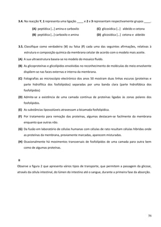 3.4. Na reacção Y, 1 representa uma ligação ____ e 2 e 3 representam respectivamente grupos ____.
(A) peptídica […] amina e carboxilo

(C) glícosídica […] aldeído e cetona

(B) peptídica […] carboxilo e amina

(D) glícosídica […] cetona e aldeído

3.5. Classifique como verdadeira (V) ou falsa (F) cada uma das seguintes afirmações, relativas à
estrutura e composição química da membrana celular de acordo com o modelo mais aceite.
(A) A sua ultraestrutura baseia-se no modelo do mosaico fluido.
(B) As glicoproteínas e glicolípidos envolvidas no reconhecimento de moléculas do meio envolvente
dispõem-se nas faces externas e interna da membrana.
(C) Fotografias ao microscópio electrónico dos anos 50 mostram duas linhas escuras (proteínas e
parte hidrofílica dos fosfolípidos) separadas por uma banda clara (parte hidrofóbica dos
fosfolípidos)
(D) Admite-se a existência de uma camada contínua de proteínas ligadas às zonas polares dos
fosfolípidos.
(E) As substâncias lipossolúveis atravessam a bicamada fosfolipídica.
(F) Por tratamento para remoção das proteínas, algumas destacam-se facilmente da membrana
enquanto que outras não.
(G) Da fusão em laboratório de células humanas com células de rato resultam células híbridas onde
as proteínas da membrana, previamente marcadas, aparecem misturadas.
(H) Ocasionalmente há movimentos transversais de fosfolípidos de uma camada para outra bem
como de algumas proteínas.

II
Observe a figura 2 que apresenta vários tipos de transporte, que permitem a passagem da glicose,
através da célula intestinal, do lúmen do intestino até o sangue, durante a primeira fase da absorção.

56

 