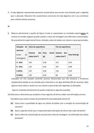 9. O tubo digestivo representado apresenta características que tornam mais eficiente quer a digestão
quer a absorção. Relacione três características estruturais do tubo digestivo com o seu contributo
para a eficácia destes processos.
III
1.

Observe atentamente o quadro da Figura 4 onde se representam os resultados experimentais de
FIG 4
osmose em tecidos vegetais quando sujeitos a meios de montagem com diferentes concentrações.
No procedimento experimental foram utilizados cubos de batata com volume e peso aproximados,
Soluções de Início da experiência

Fim da experiência

sacarose
(meio

de

Volume

dos Peso

inicial Volume

dos

Peso final (g)

cubos (mm3)

(g)

cubos (mm3)

A (0%)

120

0,38

212

0,54

B (5%)

120

0,41

207

0,48

C (20%)

120

0,39

120

0,39

D (30%)

120

0,39

68

0,36

montagem)

colocados em três soluções contendo sacarose (dissacarídeo que não atravessa a membrana
citoplasmática devido ao seu elevado peso molecular) e em água destilada (0% de sacarose). Após
algumas horas voltou a avaliar-se o seu volume e peso tendo sido registadas as alterações.
Após ter analisado atentamente do quadro responda às seguintes questões:
1.1 Seleccione a alternativa que completa a frase seguinte, de forma a obter uma afirmação correcta.
O problema que esteve na base do procedimento executado pelos alunos foi:
(A)

Como varia a quantidade de água nas células da batata com a variação da concentração de
sacarose?

(B)

Qual o organelo celular que é responsável pelas alterações do volume dos cubos de batata?

(C)

Qual o efeito da concentração da sacarose dos meios de montagem, nas dimensões das células
da batata?

59

 
