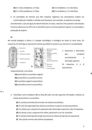 (A) 2 e 3 são verdadeiras; 1 é falsa.

(C) 3 é verdadeira; 1 e 2 são falsas.

(B) 1 e 3 são verdadeiras; 2 é falsa.

(D) 2 é verdadeira; 1 e 3 são falsas.

4. As actividades do Homem que têm impactes negativos nos ecossistemas podem ser
contrariadas por medidas e atitudes que favoreçam, por exemplo, as espécies em perigo.
Considerando o caso da águia de Bonelli descrito no texto, relacione três possíveis intervenções
humanas adicionais nas ZPE com os benefícios que as mesmas poderiam aportar à conservação e
protecção da espécie.
IV
No mundo biológico a célula é a unidade morfológica e fisiológica de todos os seres vivos. Os
esquemas A e B da figura representam células que diferem quanto à sua estrutura e complexidade.
1. Seleccione a alternativa
que

completa

correctamente

a

afirmação seguinte.
Os
A

B

esquemas

A

e

B

representam,

respectivamente, uma célula:
B

(A) procariótica e eucariótica vegetal.
(B) procariótica e eucariótica animal.
(C) eucariótica vegetal e procariótica.
(D) eucariótica animal e procariótica

Fig. 4

2. Classifique como verdadeira (V) ou falsa (F) cada uma das seguintes afirmações, relativas às
células procarióticas e eucariótica.
(A) A carioteca (membrana) só existe nas células procarióticas.
(B) O nível de organização das células eucarióticas é superior ao das procarióticas.
(C) As células que o esquema A representa têm dimensões superiores à dos cloroplastos.
(D) As células a que o esquema B se refere, pertencem a um ser unicelular.
(E) A celulose desempenha função estrutural nas células do tipo das do esquema B
(F) Nas células animais não existem cloroplastos.

6

 