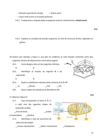 — Metade esquerda do coração

— Artéria aorta

— Vasos onde ocorre a circulação pulmonar
9.4.2. Fundamente a resposta dada na pergunta anterior relativamente à Artéria aorta.

FIG
4
9.4.3. Explique as variações da pressão sanguínea, ao nível do ventrículo direito, registadas no
gráfico.

10. Analise com atenção a Figura 5, que põe em evidência as inter-relações existentes entre dois
organitos celulares A e B presentes numa célula vegetal.
10.1.

Como designa cada um dos organitos referidos.

A10.2.

BIdentifique as funções do organito A e do

organito B.
A10.3.

BQuais as substâncias indicadas pelos números 1, 2, 3 e 4?

__ O2
10.4.

__Glicose

__H2O

__CO2

Qual a origem da substância 3, libertada em A?
FIG
5

11. Observe a figura 6:
11.1.

Faça corresponder as letras A, B e C

a cada uma das seguintes etapas da
respiração aeróbia.
__Ciclo de Krebs
transportadora
11.2.

__Cadeia

__Glicólise

Identifique o local de ocorrência de

cada uma das etapas:
__Cristas mitocôndriais

__Matriz mitocôndrial

__Hialoplasma
70

 