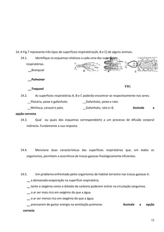14. A Fig 7 representa três tipos de superfícies respiratórias(A, B e C) de alguns animais.
14.1.

Identifique os esquemas relativos a cada uma das superfícies

respiratórias.
__Branquial
__Pulmonar
FIG
7

__Traqueal
14.2.

As superfícies respiratórias A, B e C poderão encontrar-se respectivamente nos seres:
__Planária, peixe e gafanhoto.

__Gafanhoto, peixe e rato.

__Minhoca, caracol e pato.

__Gafanhoto, rato e rã.

Assinale

a

opção correcta
14.3.

Qual ou quais dos esquemas corresponde(m) a um processo de difusão corporal

indirecta. Fundamente a sua resposta.

14.4.

Mencione duas características das superfícies respiratórias que, em todos os

organismos, permitem a ocorrência de trocas gasosas fisiologicamente eficientes.

14.5.

Um problema enfrentado pelos organismos de habitat terrestre nas trocas gasosas é:

__ a demasiada evaporação na superfície respiratória.
__ tanto o oxigénio como o dióxido de carbono poderem entrar na circulação sanguínea.
__ o ar ser mais rico em oxigénio do que a água.
__ o ar ser menos rico em oxigénio do que a água.
__ precisarem de gastar energia na ventilação pulmonar.

Assinale

a

opção

correcta
75

 