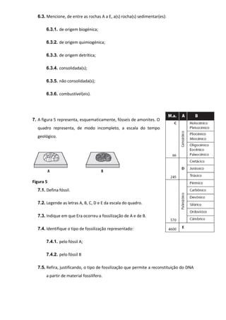 6.3. Mencione, de entre as rochas A a E, a(s) rocha(s) sedimentar(es):
6.3.1. de origem biogénica;
6.3.2. de origem quimiogénica;
6.3.3. de origem detrítica;
6.3.4. consolidada(s);
6.3.5. não consolidada(s);
6.3.6. combustível(eis).

7. A figura 5 representa, esquematicamente, fósseis de amonites. O
quadro representa, de modo incompleto, a escala do tempo
geológico.

Figura 5
7.1. Defina fóssil.
7.2. Legende as letras A, B, C, D e E da escala do quadro.
7.3. Indique em que Era ocorreu a fossilização de A e de B.
7.4. Identifique o tipo de fossilização representado:
7.4.1. pelo fóssil A;
7.4.2. pelo fóssil B
7.5. Refira, justificando, o tipo de fossilização que permite a reconstituição do DNA
a partir de material fossilífero.

 