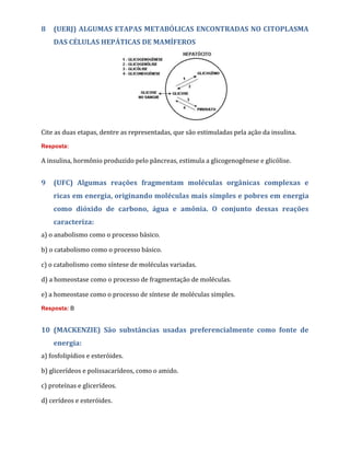 8 (UERJ) ALGUMAS ETAPAS METABÓLICAS ENCONTRADAS NO CITOPLASMA
DAS CÉLULAS HEPÁTICAS DE MAMÍFEROS
Cite as duas etapas, dentre as representadas, que são estimuladas pela ação da insulina.
Resposta:
A insulina, hormônio produzido pelo pâncreas, estimula a glicogenogênese e glicólise.
9 (UFC) Algumas reações fragmentam moléculas orgânicas complexas e
ricas em energia, originando moléculas mais simples e pobres em energia
como dióxido de carbono, água e amônia. O conjunto dessas reações
caracteriza:
a) o anabolismo como o processo básico.
b) o catabolismo como o processo básico.
c) o catabolismo como síntese de moléculas variadas.
d) a homeostase como o processo de fragmentação de moléculas.
e) a homeostase como o processo de síntese de moléculas simples.
Resposta: B
10 (MACKENZIE) São substâncias usadas preferencialmente como fonte de
energia:
a) fosfolipídios e esteróides.
b) glicerídeos e polissacarídeos, como o amido.
c) proteínas e glicerídeos.
d) cerídeos e esteróides.
 