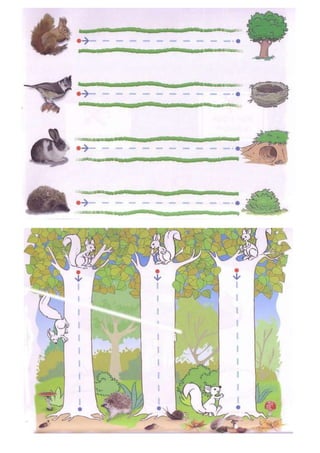 Exercícios de coordenação motora