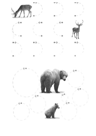 Exercícios de coordenação motora