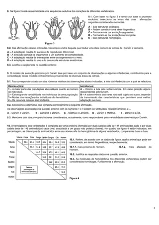 3
8. Na figura 3 está esquematizada uma sequência evolutiva dos corações de diferentes vertebrados.
8.1. Com base na figura 3 e tendo por base o processo
evolutivo, selecciona as letras das duas afirmações
seguintes consideradas correctas.
A – São estruturas análogas.
B – Podem constituir uma série filogenética.
C – Formaram-se por evolução regressiva.
D – Formaram-se por evolução convergente.
E – São estruturas homólogas.
Figura 3
8.2. Das afirmações abaixo indicadas, transcreve a letra daquela que traduz uma ideia comum às teorias de Darwin e Lamarck.
A – A adaptação resulta do sucesso da reprodução diferencial.
B – A evolução conduz os organismos a um aumento de complexidade.
C – A adaptação resulta de interacções entre os organismos e o meio.
D – A adaptação resulta do uso e do desuso de estruturas anatómicas.
8.3. Justifica a opção feita na questão anterior.
9. O modelo de evolução proposto por Darwin teve por base um conjunto de observações e algumas inferências, contribuindo para a
consolidação desse modelo conhecimentos provenientes de diversas áreas da ciência.
9.1. Faz corresponder a cada um dos números relativos às observações abaixo indicadas, a letra da inferência com a qual se relaciona.
OBSERVAÇÕES: INFERÊNCIAS:
1 – A maior parte das populações são estáveis quanto ao número
de indivíduos.
2 – Existe grande variabilidade nos indivíduos de uma população.
3 – Muitas das variações dos indivíduos são hereditárias.
4 – Os recursos naturais são limitados.
A – Ocorre a luta pela sobrevivência. Em cada geração alguns
descendentes sobrevivem.
B – A sobrevivência dos seres não está sujeita ao acaso; depende
de transmissão das características que permitem uma melhor
adaptação ao meio.
9.2. Selecciona a alternativa que completa correctamente a seguinte afirmação.
As observações assinaladas na questão anterior com os números 1 e 4 podem ser atribuídas, respectivamente, a ...
A – Darwin e Darwin. B – Lamarck e Darwin. C – Malthus e Lamarck. D – Darwin e Malthus. E – Darwin e Lyell.
9.3. Menciona dois dos principais factores considerados, actualmente, como responsáveis pela variabilidade observada por Darwin.
10. A hemoglobina dos vertebrados é composta por uma proteína (formada por duas cadeias alfa de 141 aminoácidos cada e por duas
cadeia beta de 146 aminoácidos cada uma) associada a um grupo não proteico (heme). No quadro da figura 4 estão indicados, em
percentagem, as diferenças de aminoácidos entre as cadeias alfa da hemoglobina de alguns vertebrados, comparadas duas a duas.
10.1. Refere, de acordo com os dados da figura, qual o animal que pode ser
considerado, em termo filogenéticos, respectivamente:
10.1.1. mais próximo do Homem. 10.1.2. mais afastado do
Homem.
10.2. Justifica as respostas dadas na questão anterior.
10.3. As moléculas de hemoglobina dos diferentes vertebrados podem ser
consideradas homólogas. Fundamenta a afirmação.
Figura 4
I II III IV
 