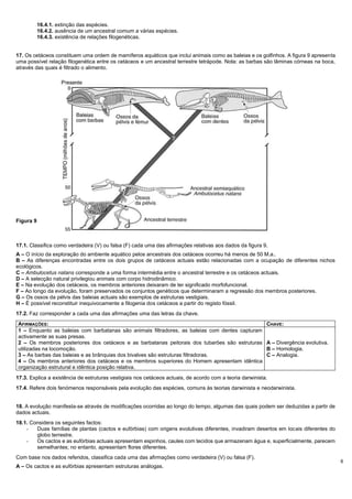 6
16.4.1. extinção das espécies.
16.4.2. ausência de um ancestral comum a várias espécies.
16.4.3. existência de relações filogenéticas.
17. Os cetáceos constituem uma ordem de mamíferos aquáticos que inclui animais como as baleias e os golfinhos. A figura 9 apresenta
uma possível relação filogenética entre os cetáceos e um ancestral terrestre tetrápode. Nota: as barbas são lâminas córneas na boca,
através das quais é filtrado o alimento.
Figura 9
17.1. Classifica como verdadeira (V) ou falsa (F) cada uma das afirmações relativas aos dados da figura 9.
A – O início da exploração do ambiente aquático pelos ancestrais dos cetáceos ocorreu há menos de 50 M.a..
B – As diferenças encontradas entre os dois grupos de cetáceos actuais estão relacionadas com a ocupação de diferentes nichos
ecológicos.
C – Ambulocetus natans corresponde a uma forma intermédia entre o ancestral terrestre e os cetáceos actuais.
D – A selecção natural privilegiou animais com corpo hidrodinâmico.
E – Na evolução dos cetáceos, os membros anteriores deixaram de ter significado morfofuncional.
F – Ao longo da evolução, foram preservados os conjuntos genéticos que determinaram a regressão dos membros posteriores.
G – Os ossos da pélvis das baleias actuais são exemplos de estruturas vestigiais.
H – É possível reconstituir inequivocamente a filogenia dos cetáceos a partir do registo fóssil.
17.2. Faz corresponder a cada uma das afirmações uma das letras da chave.
AFIRMAÇÕES: CHAVE:
1 – Enquanto as baleias com barbatanas são animais filtradores, as baleias com dentes capturam
activamente as suas presas.
2 – Os membros posteriores dos cetáceos e as barbatanas peitorais dos tubarões são estruturas
utilizadas na locomoção.
3 – As barbas das baleias e as brânquias dos bivalves são estruturas filtradoras.
4 – Os membros anteriores dos cetáceos e os membros superiores do Homem apresentam idêntica
organização estrutural e idêntica posição relativa.
A – Divergência evolutiva.
B – Homologia.
C – Analogia.
17.3. Explica a existência de estruturas vestigiais nos cetáceos actuais, de acordo com a teoria darwinista.
17.4. Refere dois fenómenos responsáveis pela evolução das espécies, comuns às teorias darwinista e neodarwinista.
18. A evolução manifesta-se através de modificações ocorridas ao longo do tempo, algumas das quais podem ser deduzidas a partir de
dados actuais.
18.1. Considera os seguintes factos:
- Duas famílias de plantas (cactos e eufórbias) com origens evolutivas diferentes, invadiram desertos em locais diferentes do
globo terrestre.
- Os cactos e as eufórbias actuais apresentam espinhos, caules com tecidos que armazenam água e, superficialmente, parecem
semelhantes; no entanto, apresentam flores diferentes.
Com base nos dados referidos, classifica cada uma das afirmações como verdadeira (V) ou falsa (F).
A – Os cactos e as eufórbias apresentam estruturas análogas.
 
