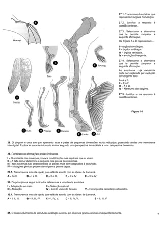 9
27.1. Transcreve duas letras que
representem órgãos homólogos.
27.2. Justifica a resposta à
questão anterior.
27.3. Selecciona a alternativa
que te permite completar a
seguinte afirmação.
Os órgãos A e D representam ...
I – órgãos homólogos.
II – órgãos análogos.
III – órgãos vestigiais.
IV – evolução divergente.
27.4. Selecciona a alternativa
que te permite completar a
seguinte afirmação.
As estruturas cuja existência
pode ser explicada por evolução
convergente são:
I – A e F.
II – E e F.
III – A e D.
IV – Nenhuma das opções.
27.5. Justifica a tua resposta à
questão anterior.
Figura 14
28. O pinguim é uma ave que apresenta asas e patas de pequenas dimensões muito reduzidas, possuindo ainda uma membrana
interdigital. Explica as características do animal segundo uma perspectiva lamarckista e uma perspectiva darwinista.
29. Considera as afirmações abaixo indicadas.
I – O ambiente das cavernas provoca modificações nas espécies que aí vivem.
II – A falta de luz determina a cegueira nos peixes das cavernas.
III – Nas cavernas são seleccionados os peixes mais bem adaptados à escuridão.
IV – Mutações génicas podem dar origem a peixes cegos.
29.1. Transcreve a letra da opção que está de acordo com as ideias de Lamarck.
A – I e II. B – I e III. C – II e III. D – II e IV. E – III e IV.
30. Os princípios a seguir indicados referem-se a uma teoria evolutiva.
I – Adaptação ao meio. II – Selecção natural.
III – Mutação. IV – Lei do uso e do desuso. V – Herança dos caracteres adquiridos.
30.1. Transcreve a letra da opção que está de acordo com as ideias de Lamarck.
A – I, II, III. B – II, III, IV. C – I, IV, V. D – II, IV, V. E – II, III, V.
31. O desenvolvimento de estruturas análogas ocorreu em diversos grupos animais independentemente.
 