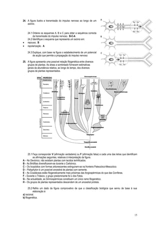 24. A figura ilustra a transmissão do impulso nervoso ao longo de um
axónio.
24.1 Ordene os esquemas A. B e C para obter a sequência correcta
da transmissão do impulso nervoso. B-C-A
24.2 Identifique o esquema que representa um axónio em:
• repouso; B
• repolarização. A
24.3 Explique, com base na figura o estabelecimento de um potencial
de acção que permite a propagação do impulso nervoso
25. A figura apresenta uma possível relação filogenética entre diversos
grupos de plantas. As áreas a sombreado fornecem estimativas
gerais da abundância relativa, ao longo do tempo, dos diversos
grupos de plantas representados.
25.1 Faça corresponder V (afirmação verdadeira) ou F (afirmação falsa) a cada uma das letras que identificam
as afirmações seguintes, relativas à interpretação da figura.
A – No Devónico, não existiam plantas com tecidos lenhificados.
B – As Briófitas diversificaram-se durante o Carbónico.
C – Os licopódios com formas arborescentes extinguiram-se na fronteira Paleozóico-Mesozóico.
D – Psilophyton é um possível ancestral de plantas com semente.
E – As Cicadáceas estão filogeneticamente mais próximas das Angiospérmicas do que das Coníferas.
F – Durante o Triásico, o grupo predominante foi o dos Fetos.
G – Na actualidade, as Gimnospérmicas constituem um único ramo filogenético.
H – Os grupos de plantas representados descendem de um ancestral protista.
25.2 Refira um dado da figura comprovativo de que a classificação biológica que serviu de base à sua
elaboração é:
a) racional.
b) filogenética.
15
 