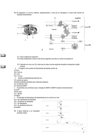 12. Os esquemas I e II da fig. mostram, respectivamente, o corte de um cloroplasto e o local onde ocorrem as
reacções fotossintéticas.
12.1 Faça a legenda do esquema I.
12.2 Faça corresponder a cada um dos termos seguintes uma letra ou número do esquema II.
12.3 Assinale com uma cruz (X) a letra que em cada uma das seguintes situações corresponde à opção
correcta.
• O oxigénio como produto da fotossíntese das plantas provém de:
O A-C02.
O B - C6H1206.
O C -H20.
O D – C'2H220.
• Quando os fotossistemas absorvem luz:
O A -produz-se açúcar.
O B-são transferidos electrões para moléculas aceptoras.
O C -é reduzido o CO2.
O D -forma-se NADP.
• Os electrões que contribuem para a redução do NADP a NADPH resultam primariamente de:
O A-ATP.
O B-luz solar.
O C - glicose.
O D-água.
• As reacções da fotossíntese não dependentes da luz ocorrem ao nível:
O A - das membranas dos tilacóides.
O B - do estroma do cloroplasto.
O C - do hialoplasma.
O D - da membrana interna do
cloroplasto.
13. A figura refere-se a um importante
processo celular.
8
Fig. 14Fig. 14
Fig. 13Fig. 13
 