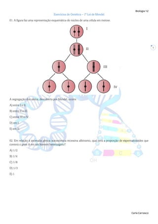 Biologia 12
Carla Carrasco
1
Exercícios de Genética – 1ª Lei de Mendel
01. A figura faz uma representação esquemática do núcleo de uma célula em meiose.
A segregação dos alelos, descoberta por Mendel, ocorre
A) entre I e II.
B) entre II e III.
C) entre III e IV.
D) em I.
E) em II.
02. Em relação à anomalia gênica autossómica recessiva albinismo, qual será a proporção de espermatozoides que
conterá o gene A em um homem heterozigoto?
A) 1/2
B) 1/4
C) 1/8
D) 1/3
E) 1
 