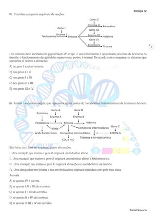 Biologia 12
Carla Carrasco
2
03. Considere a seguinte sequência de reações:
Um indivíduo tem anomalias na pigmentação do corpo, e seu metabolismo é prejudicado pela falta da hormona da
tireoide; o funcionamento das glândulas suprarrenais, porém, é normal. De acordo com o esquema, os sintomas que
apresenta se devem a alterações
A) no gene I, exclusivamente.
B) nos genes I e II.
C) nos genes I e III.
D) nos genes II e III.
E) nos genes III e IV.
04. Analise o esquema a seguir, que representa alguns passos do metabolismo da fenilalanina e da tirosina no homem.
São feitas, com base no esquema, quatro afirmações:
I. Uma mutação que inative o gene B originará um indivíduo albino.
II. Uma mutação que inative o gene A originará um indivíduo albino e fenilcetonúrico.
III. Uma mutação que inative o gene C originará alterações no metabolismo da tireoide.
IV. Uma dieta pobre em tirosina e rica em fenilalanina originará indivíduos com pele mais clara.
Assinale
A) se apenas IV é correta.
B) se apenas I, II e III são corretas.
C) se apenas I e III são corretas.
D) se apenas II e IV são corretas.
E) se apenas II, III e IV são corretas.
 