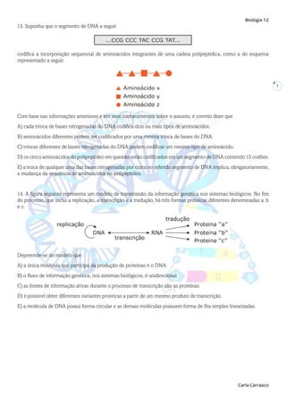 Biologia 12
Carla Carrasco
7
13. Suponha que o segmento de DNA a seguir
codifica a incorporação sequencial de aminoácidos integrantes de uma cadeia polipeptídica, como a do esquema
representado a seguir.
Com base nas informações anteriores e em seus conhecimentos sobre o assunto, é correto dizer que
A) cada trinca de bases nitrogenadas do DNA codifica dois ou mais tipos de aminoácidos.
B) aminoácidos diferentes podem ser codificados por uma mesma trinca de bases do DNA.
C) trincas diferentes de bases nitrogenadas do DNA podem codificar um mesmo tipo de aminoácido.
D) os cinco aminoácidos do polipeptídeo em questão estão codificados em um segmento de DNA contendo 15 codões.
E) a troca de qualquer uma das bases nitrogenadas por outra no referido segmento de DNA implica, obrigatoriamente,
a mudança da sequência de aminoácidos no polipeptídeo.
14. A figura seguinte representa um modelo de transmissão da informação genética nos sistemas biológicos. No fim
do processo, que inclui a replicação, a transcrição e a tradução, há três formas proteicas diferentes denominadas a, b
e c.
Depreende-se do modelo que
A) a única molécula que participa da produção de proteínas é o DNA.
B) o fluxo de informação genética, nos sistemas biológicos, é unidirecional.
C) as fontes de informação ativas durante o processo de transcrição são as proteínas.
D) é possível obter diferentes variantes proteicas a partir de um mesmo produto de transcrição.
E) a molécula de DNA possui forma circular e as demais moléculas possuem forma de fita simples linearizadas.
 
