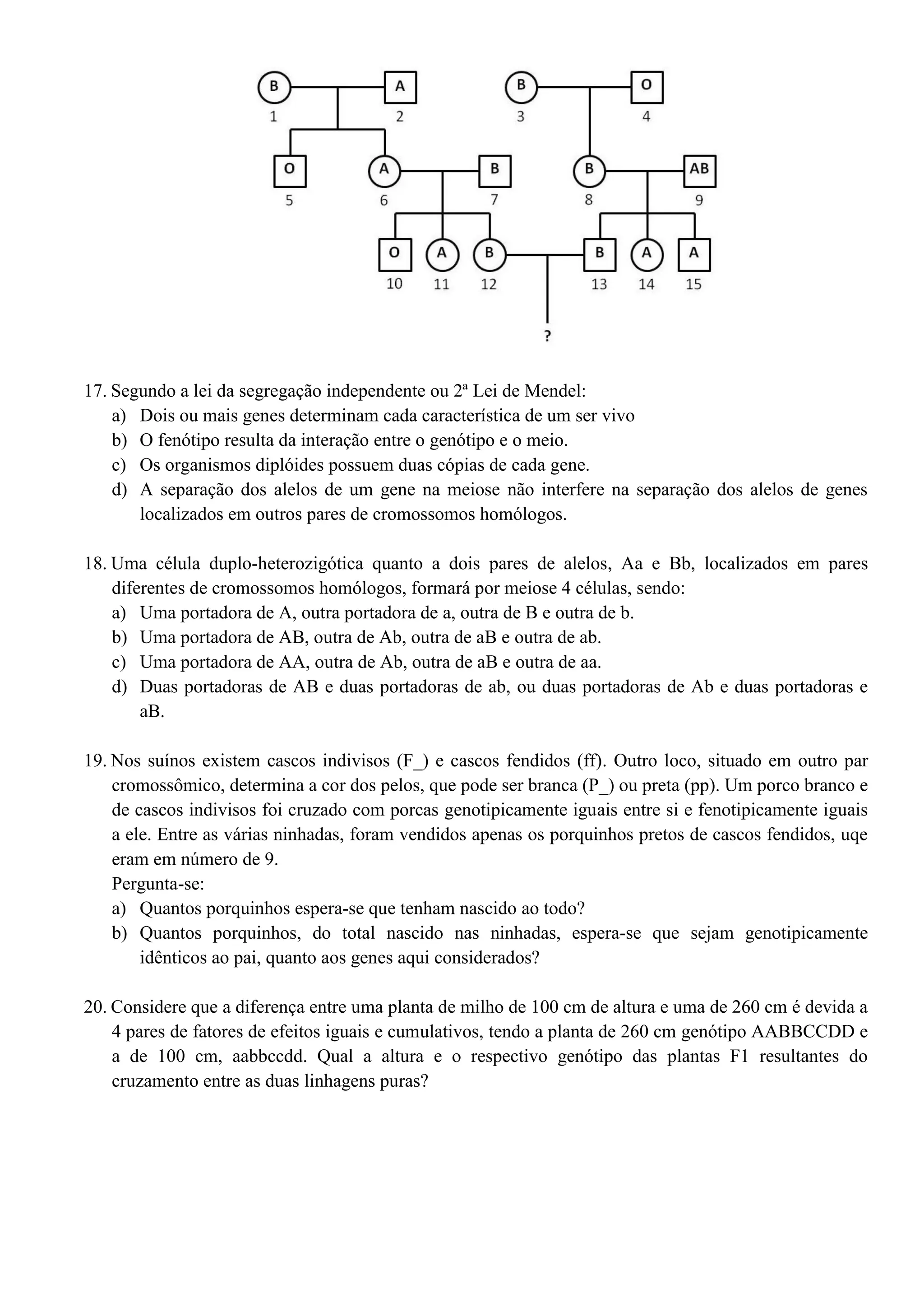 Exercícios de genética – sistema abo e 2ª lei de mendel | PDF