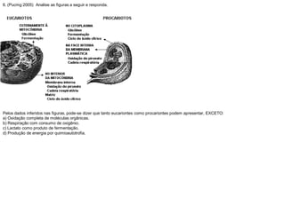 6. (Pucmg 2005) Analise as figuras a seguir e responda.
Pelos dados inferidos nas figuras, pode-se dizer que tanto eucariontes como procariontes podem apresentar, EXCETO:
a) Oxidação completa de moléculas orgânicas.
b) Respiração com consumo de oxigênio.
c) Lactato como produto de fermentação.
d) Produção de energia por quimioautotrofia.
 
