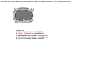 9. (Pucsp 2005) Uma célula vegetal flácida foi colocada em um determinado meio e adquiriu o seguinte aspecto:
A célula está
a) túrgida e foi colocada em meio hipotônico.
b) túrgida e foi colocada em meio hipertônico.
c) plasmolisada e foi colocada em meio hipotônico.
d) plasmolisada e foi colocada em meio hipertônico
e) murcha e foi colocada em meio hipotônico.
 