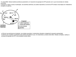 13. (Uerj 2006) Muitas bactérias aeróbicas apresentam um mecanismo de geração de ATP parecido com o que é encontrado em células
eucariotas.
O esquema a seguir mostra a localização, nas bactérias aeróbicas, da cadeia respiratória, da enzima ATP-sintase e das etapas do metabolismo
energético da glicose.
a) Cite em que estruturas se localizam, nas células eucariotas, os elementos indicados na legenda do esquema apresentado.
b) Admita que a bactéria considerada seja aeróbica facultativa e que, em anaerobiose, produza ácido lático. Nessas condições, explique o
processo de geração de ATP e de produção de ácido lático.
 