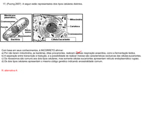 17. (Pucmg 2007) A seguir estão representados dois tipos celulares distintos.
Com base em seus conhecimentos, é INCORRETO afirmar:
a) Por não terem mitocôndria, as bactérias, ditas procariontes, realizam apenas respiração anaeróbia, como a fermentação láctica.
b) A separação entre transcrição e tradução, e a possibilidade de realizar meiose são características exclusivas das células eucariontes.
c) Os ribossomos são comuns aos dois tipos celulares, mas somente células eucariontes apresentam retículo endoplasmático rugoso.
d) Os dois tipos celulares apresentam o mesmo código genético indicando ancestralidade comum.
R: alternativa A
 