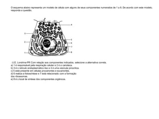 O esquema abaixo representa um modelo de célula com alguns de seus componentes numerados de 1 a 8. De acordo com este modelo,
responda a questão.
. U.E. Londrina-PR Com relação aos componentes indicados, selecione a alternativa correta.
a) 1 é responsável pela respiração celular e 2 é a carioteca.
b) 3 é o retículo endoplasmático liso e 4 é uma vesícula pinocítica.
c) 5 está presente em células procariontes e eucariontes.
d) 6 realiza a fotossíntese e 7 está relacionado com a formação
dos ribossomas.
e) 8 é o local de síntese dos componentes orgânicos.
 