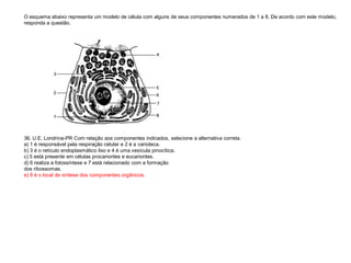 O esquema abaixo representa um modelo de célula com alguns de seus componentes numerados de 1 a 8. De acordo com este modelo,
responda a questão.
36. U.E. Londrina-PR Com relação aos componentes indicados, selecione a alternativa correta.
a) 1 é responsável pela respiração celular e 2 é a carioteca.
b) 3 é o retículo endoplasmático liso e 4 é uma vesícula pinocítica.
c) 5 está presente em células procariontes e eucariontes.
d) 6 realiza a fotossíntese e 7 está relacionado com a formação
dos ribossomas.
e) 8 é o local de síntese dos componentes orgânicos.
 