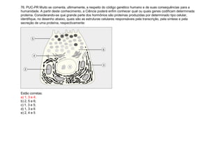 76. PUC-PR Muito se comenta, ultimamente, a respeito do código genético humano e de suas consequências para a
humanidade. A partir deste conhecimento, a Ciência poderá enfim conhecer qual ou quais genes codificam determinada
proteína. Considerando-se que grande parte dos hormônios são proteínas produzidas por determinado tipo celular,
identifique, no desenho abaixo, quais são as estruturas celulares responsáveis pela transcrição, pela síntese e pela
secreção de uma proteína, respectivamente:
Estão corretas:
a) 1, 3 e 4;
b) 2, 5 e 6;
c) 1, 3 e 5;
d) 1, 3 e 6
e) 2, 4 e 5
 