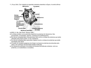 11. (Pucpr 2004) Com relação às organelas celulares presentes na figura, é correto afirmar:
(LOPES, S. Bio. São Paulo: Saraiva,1999.)
a) A síntese protéica nos eucariontes depende da presença de ribossomos. Nos
procariontes, é necessária, apenas, a presença de poliribossomos.
b) No retículo endoplasmático não-granuloso (liso) ocorre a síntese de proteínas que serão
utilizadas pela própria célula, no seu citoplasma.
c) No retículo endoplasmático granuloso (rugoso) ocorre a síntese de proteínas que serão
secretadas pela célula.
d) A função do complexo golgiense (de Golgi) é armazenar proteínas já produzidas pela
célula, sem participar da biossíntese destas moléculas.
e) Os ribossomos participam da síntese de diversas biomoléculas celulares, como as
proteínas, os nucleotídeos e os lipídeos.
 