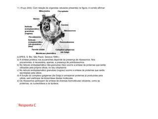 11. (Pucpr 2004) Com relação às organelas celulares presentes na figura, é correto afirmar:
(LOPES, S. Bio. São Paulo: Saraiva,1999.)
a) A síntese protéica nos eucariontes depende da presença de ribossomos. Nos
procariontes, é necessária, apenas, a presença de poliribossomos.
b) No retículo endoplasmático não-granuloso (liso) ocorre a síntese de proteínas que serão
utilizadas pela própria célula, no seu citoplasma.
c) No retículo endoplasmático granuloso (rugoso) ocorre a síntese de proteínas que serão
secretadas pela célula.
d) A função do complexo golgiense (de Golgi) é armazenar proteínas já produzidas pela
célula, sem participar da biossíntese destas moléculas.
e) Os ribossomos participam da síntese de diversas biomoléculas celulares, como as
proteínas, os nucleotídeos e os lipídeos.
´Resposta C
 