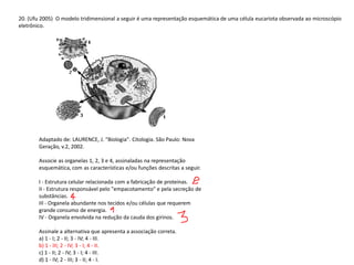 20. (Ufu 2005) O modelo tridimensional a seguir é uma representação esquemática de uma célula eucariota observada ao microscópio
eletrônico.
Adaptado de: LAURENCE, J. "Biologia". Citologia. São Paulo: Nova
Geração, v.2, 2002.
Associe as organelas 1, 2, 3 e 4, assinaladas na representação
esquemática, com as características e/ou funções descritas a seguir.
I - Estrutura celular relacionada com a fabricação de proteínas.
II - Estrutura responsável pelo "empacotamento" e pela secreção de
substâncias.
III - Organela abundante nos tecidos e/ou células que requerem
grande consumo de energia.
IV - Organela envolvida na redução da cauda dos girinos.
Assinale a alternativa que apresenta a associação correta.
a) 1 - I; 2 - II; 3 - IV; 4 - III.
b) 1 - III; 2 - IV; 3 - I; 4 - II.
c) 1 - II; 2 - IV; 3 - I; 4 - III.
d) 1 - IV; 2 - III; 3 - II; 4 - I.
 