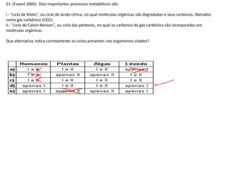21. (Fuvest 2005) Dois importantes processos metabólicos são:
I - "ciclo de Krebs", ou ciclo do ácido cítrico, no qual moléculas orgânicas são degradadas e seus carbonos, liberados
como gás carbônico (CO2);
II - "ciclo de Calvin-Benson", ou ciclo das pentoses, no qual os carbonos do gás carbônico são incorporados em
moléculas orgânicas.
Que alternativa indica corretamente os ciclos presentes nos organismos citados?
 