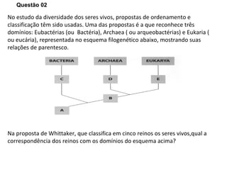 No estudo da diversidade dos seres vivos, propostas de ordenamento e classificação têm sido usadas. Uma das propostas é a que reconhece três  domínios: Eubactérias (ou  Bactéria), Archaea ( ou arqueobactérias) e Eukaria ( ou eucária), representada no esquema filogenético abaixo, mostrando suas relações de parentesco. Na proposta de Whittaker, que classifica em cinco reinos os seres vivos,qual a correspondência dos reinos com os domínios do esquema acima? Questão 02 