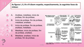 As figuras I, II, III e IV dizem respeito, respectivamente, às seguintes fases da
mitose:


A.   Anafase, metafase, início da
     profase, fim da prófase.
B.   Início da profase, fim da profase,
     metafase, anafase.
C.   Início da profase, fim da profase,
     anafase, metafase.
D.   Metafase, início da profase, fim
     da profase, anafase.
E.   Metafase, anafase, início da
     profase, fim da profase.

                                              Fonte: JUNQUEIRA, L. C.& CARNEIRO, J. “Biologia Celular e Molecular”. Rio de Janeiro: Guanabara
                                              Koogan, 2000. p. 184
                                    IL 2011                                                                                       13
 