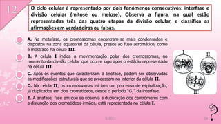 O ciclo celular é representado por dois fenómenos consecutivos: interfase e
 divisão celular (mitose ou meiose). Observa a figura, na qual estão
 representadas três das quatro etapas da divisão celular, e classifica as
 afirmações em verdadeiras ou falsas.

A. Na metafase, os cromossomas encontram-se mais condensados e
dispostos na zona equatorial da célula, presos ao fuso acromático, como
é mostrado na célula III.
B. A célula I indica a movimentação polar dos cromossomas, no
momento da divisão celular que ocorre logo após o estádio representado
na célula III.
C. Após os eventos que caracterizam a telofase, podem ser observadas
as modificações estruturais que se processam no interior da célula II.
D. Na célula II, os cromossomas iniciam um processo de espiralização,
já duplicados em dois cromatideos, desde o período “G1” da interfase.
E. A anafase, fase em que se observa a duplicação dos centrómeros com
a disjunção dos cromatideos-irmãos, está representada na célula I.


                                       IL 2011                            14
 