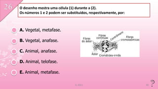 O desenho mostra uma célula (1) durante a (2).
Os números 1 e 2 podem ser substituídos, respectivamente, por:



A. Vegetal, metafase.

B. Vegetal, anafase.

C. Animal, anafase.

D. Animal, telofase.

E. Animal, metafase.

                                IL 2011                          30
 