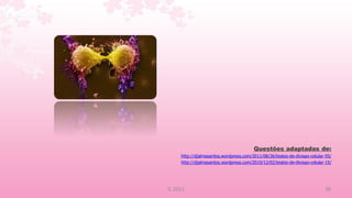 Questões adaptadas de:
     http://djalmasantos.wordpress.com/2011/08/26/testes-de-divisao-celular-55/
     http://djalmasantos.wordpress.com/2010/12/02/testes-de-divisao-celular-15/




IL 2011                                                                    36
 