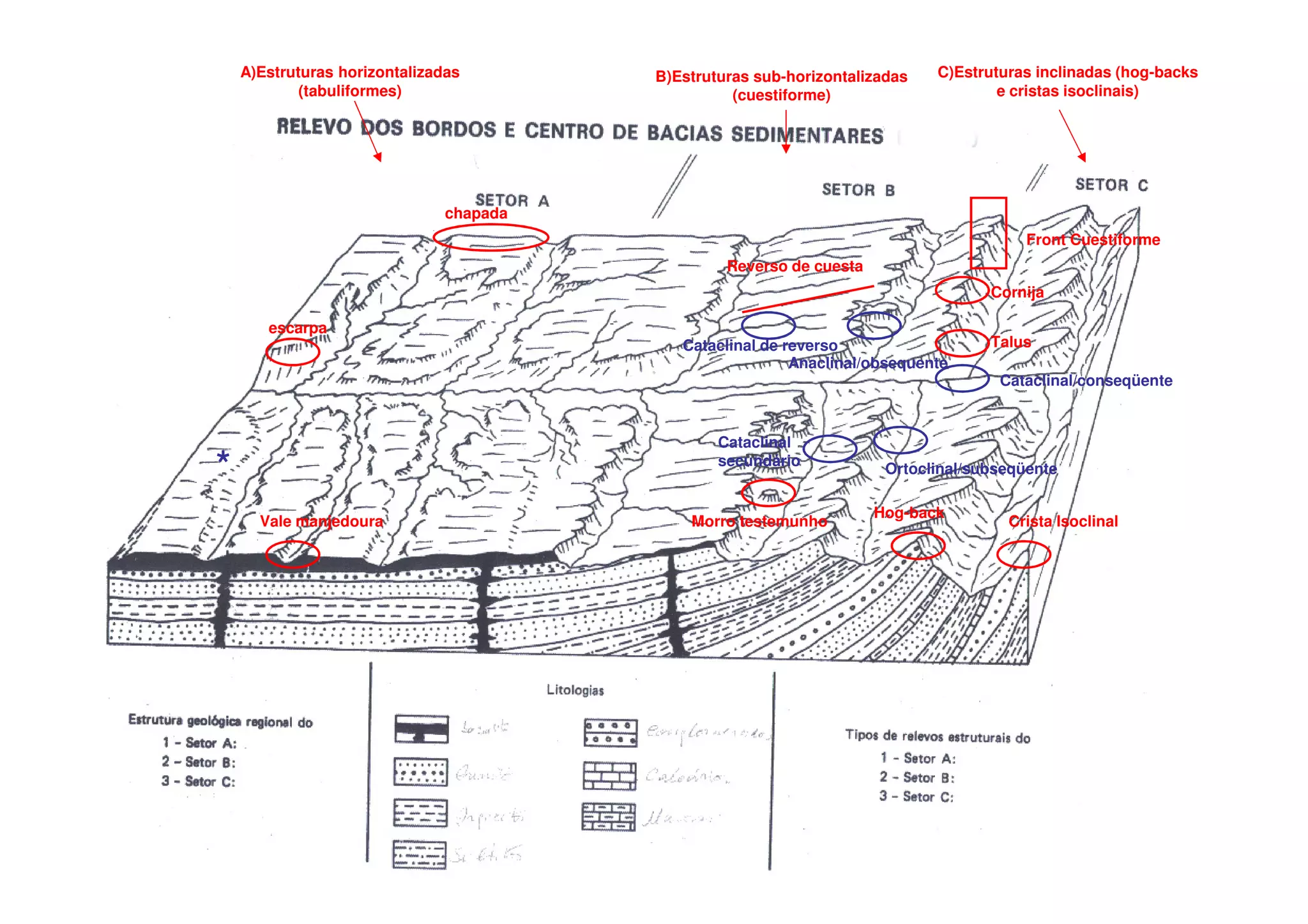Exercícios estrutural correção (1) [compatibility mode] | PDF