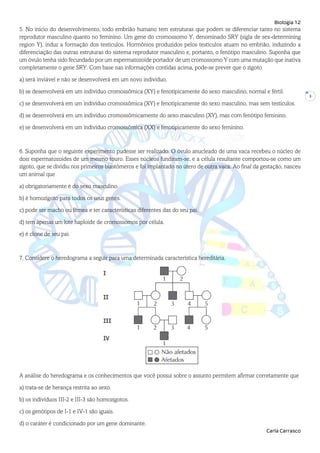 Biologia 12
Carla Carrasco
3
5. No início do desenvolvimento, todo embrião humano tem estruturas que podem se diferenciar tanto no sistema
reprodutor masculino quanto no feminino. Um gene do cromossomo Y, denominado SRY (sigla de sex-determining
region Y), induz a formação dos testículos. Hormônios produzidos pelos testículos atuam no embrião, induzindo a
diferenciação das outras estruturas do sistema reprodutor masculino e, portanto, o fenótipo masculino. Suponha que
um óvulo tenha sido fecundado por um espermatozoide portador de um cromossomo Y com uma mutação que inativa
completamente o gene SRY. Com base nas informações contidas acima, pode-se prever que o zigoto
a) será inviável e não se desenvolverá em um novo indivíduo.
b) se desenvolverá em um indivíduo cromossômica (XY) e fenotipicamente do sexo masculino, normal e fértil.
c) se desenvolverá em um indivíduo cromossômica (XY) e fenotipicamente do sexo masculino, mas sem testículos.
d) se desenvolverá em um indivíduo cromossómicamente do sexo masculino (XY), mas com fenótipo feminino.
e) se desenvolverá em um indivíduo cromossômica (XX) e fenotipicamente do sexo feminino.
6. Suponha que o seguinte experimento pudesse ser realizado. O óvulo anucleado de uma vaca recebeu o núcleo de
dois espermatozoides de um mesmo touro. Esses núcleos fundiram-se, e a célula resultante comportou-se como um
zigoto, que se dividiu nos primeiros blastómeros e foi implantado no útero de outra vaca. Ao final da gestação, nasceu
um animal que
a) obrigatoriamente é do sexo masculino.
b) é homozigoto para todos os seus genes.
c) pode ser macho ou fêmea e ter características diferentes das do seu pai.
d) tem apenas um lote haploide de cromossomos por célula.
e) é clone de seu pai.
7. Considere o heredograma a seguir para uma determinada característica hereditária.
A análise do heredograma e os conhecimentos que você possui sobre o assunto permitem afirmar corretamente que
a) trata-se de herança restrita ao sexo.
b) os indivíduos III-2 e III-3 são homozigotos.
c) os genótipos de I-1 e IV-1 são iguais.
d) o caráter é condicionado por um gene dominante.
 