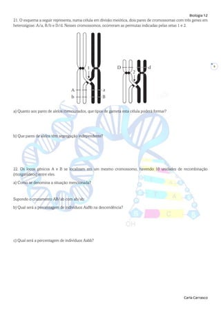 Biologia 12
Carla Carrasco
9
21. O esquema a seguir representa, numa célula em divisão meiótica, dois pares de cromossomas com três genes em
heterozigose: A/a, B/b e D/d. Nesses cromossomos, ocorreram as permutas indicadas pelas setas 1 e 2.
a) Quanto aos pares de alelos mencionados, que tipos de gameta esta célula poderá formar?
b) Que pares de alelos têm segregação independente?
22. Os locos gênicos A e B se localizam em um mesmo cromossomo, havendo 10 unidades de recombinação
(morganídeos) entre eles.
a) Como se denomina a situação mencionada?
Supondo o cruzamento AB/ab com ab/ab:
b) Qual será a percentagem de indivíduos AaBb na descendência?
c) Qual será a percentagem de indivíduos Aabb?
 
