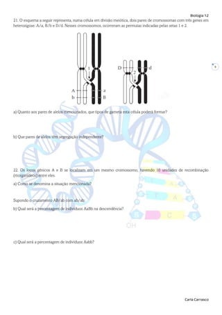 Biologia 12
Carla Carrasco
9
21. O esquema a seguir representa, numa célula em divisão meiótica, dois pares de cromossomas...