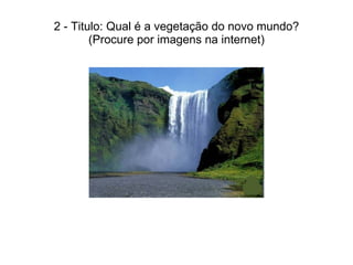 2 - Titulo: Qual é a vegetação do novo mundo? (Procure por imagens na internet) 