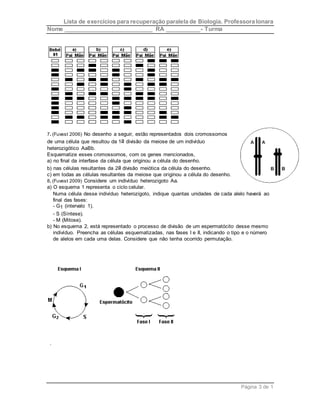 Lista de exercícios para recuperação paralela de Biologia. Professora Ionara 
Nome ____________________________ RA ___________- Turma 
Página 3 de 1 
7. (Fuvest 2006) No desenho a seguir, estão representados dois cromossomos 
de uma célula que resultou da 1a divisão da meiose de um indivíduo 
heterozigótico AaBb. 
Esquematize esses cromossomos, com os genes mencionados, 
a) no final da interfase da célula que originou a célula do desenho. 
b) nas células resultantes da 2a divisão meiótica da célula do desenho. 
c) em todas as células resultantes da meiose que originou a célula do desenho. 
8. (Fuvest 2009) Considere um indivíduo heterozigoto Aa. 
a) O esquema 1 representa o ciclo celular. 
Numa célula desse indivíduo heterozigoto, indique quantas unidades de cada alelo haverá ao 
final das fases: 
- G1 (intervalo 1). 
- S (Síntese). 
- M (Mitose). 
b) No esquema 2, está representado o processo de divisão de um espermatócito desse mesmo 
indivíduo. Preencha as células esquematizadas, nas fases I e II, indicando o tipo e o número 
de alelos em cada uma delas. Considere que não tenha ocorrido permutação. 
. 
 