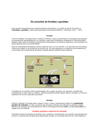 Os conceitos de fenótipo e genótipo

Dois conceitos importantes para o desenvolvimento da genética, no começo do século XX, foram os
defenótipo e genótipo, criados pelo pesquisador dinamarquês Wilhelm L. Johannsen (1857 – 1912).



                                                  Fenótipo

O termo “fenótipo” (do grego pheno, evidente, brilhante, e typos, característico) é empregado para designar
as características apresentadas por um indivíduo, sejam elas morfológicas, fisiológicas e comportamentais.
Também fazem parte do fenótipo características microscópicas e de natureza bioquímica, que necessitam de
testes especiais para a sua identificação.

Entre as características fenotípicas visíveis, podemos citar a cor de uma flor, a cor dos olhos de uma pessoa,
a textura do cabelo, a cor do pelo de um animal, etc. Já o tipo sanguíneo e a sequência de aminoácidos de
uma proteína são características fenotípicas revelada apenas mediante testes especiais.




O fenótipo de um indivíduo sofre transformações com o passar do tempo. Por exemplo, à medida que
envelhecemos o nosso corpo se modifica. Fatores ambientais também podem alterar o fenótipo: se ficarmos
expostos à luz do sol, nossa pele escurecerá.



                                                  Genótipo

O termo “genótipo” (do grego genos, originar, provir, e typos, característica) refere-se à constituição
genética do indivíduo, ou seja, aos genes que ele possui. Estamos nos referindo ao genótipo quando
dizemos, por exemplo, que uma planta de ervilha é homozigota dominante (VV) ou heterozigota (Vv) em
relação à cor da semente.

                              Fenótipo: genótipo e ambiente em interação

O fenótipo resulta da interação do genótipo com o ambiente. Consideremos, por exemplo, duas pessoas que
tenham os mesmos tipos de alelos para pigmentação da pele; se uma delas toma sol com mais frequência
 