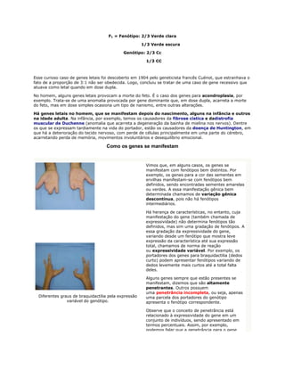 F1 = Fenótipo: 2/3 Verde clara

                                                      1/3 Verde escura

                                            Genótipo: 2/3 Cc

                                                        1/3 CC



Esse curioso caso de genes letais foi descoberto em 1904 pelo geneticista francês Cuénot, que estranhava o
fato de a proporção de 3:1 não ser obedecida. Logo, concluiu se tratar de uma caso de gene recessivo que
atuava como letal quando em dose dupla.

No homem, alguns genes letais provocam a morte do feto. É o caso dos genes para acondroplasia, por
exemplo. Trata-se de uma anomalia provocada por gene dominante que, em dose dupla, acarreta a morte
do feto, mas em dose simples ocasiona um tipo de nanismo, entre outras alterações.

Há genes letais no homem, que se manifestam depois do nascimento, alguns na infância e outros
na idade adulta. Na infância, por exemplo, temos os causadores da fibrose cística e dadistrofia
muscular de Duchenne (anomalia que acarreta a degeneração da bainha de mielina nos nervos). Dentre
os que se expressam tardiamente na vida do portador, estão os causadores da doença de Huntington, em
que há a deterioração do tecido nervoso, com perde de células principalmente em uma parte do cérebro,
acarretando perda de memória, movimentos involuntários e desequilíbrio emocional.

                                   Como os genes se manifestam


                                                       Vimos que, em alguns casos, os genes se
                                                       manifestam com fenótipos bem distintos. Por
                                                       exemplo, os genes para a cor das sementes em
                                                       ervilhas manifestam-se com fenótipos bem
                                                       definidos, sendo encontradas sementes amarelas
                                                       ou verdes. A essa manifestação gênica bem
                                                       determinada chamamos de variação gênica
                                                       descontínua, pois não há fenótipos
                                                       intermediários.

                                                       Há herança de características, no entanto, cuja
                                                       manifestação do gene (também chamada de
                                                       expressividade) não determina fenótipos tão
                                                       definidos, mas sim uma gradação de fenótipos. A
                                                       essa gradação da expressividade do gene,
                                                       variando desde um fenótipo que mostra leve
                                                       expressão da característica até sua expressão
                                                       total, chamamos de norma de reação
                                                       ou expressividade variável. Por exemplo, os
                                                       portadores dos genes para braquidactilia (dedos
                                                       curto) podem apresentar fenótipos variando de
                                                       dedos levemente mais curtos até a total falta
                                                       deles.

                                                       Alguns genes sempre que estão presentes se
                                                       manifestam, dizemos que são altamente
                                                       penetrantes. Outros possuem
                                                       uma penetrância incompleta, ou seja, apenas
  Diferentes graus de braquidactilia pela expressão    uma parcela dos portadores do genótipo
                variável do genótipo.                  apresenta o fenótipo correspondente.

                                                       Observe que o conceito de penetrância está
                                                       relacionado à expressividade do gene em um
                                                       conjunto de indivíduos, sendo apresentado em
                                                       termos percentuais. Assim, por exemplo,
                                                       podemos falar que a penetrância para o gene
 