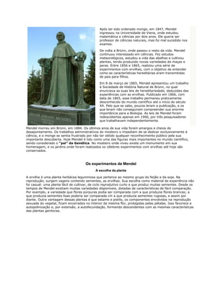 Após ter sido ordenado monge, em 1847, Mendel
                                              ingressou na Universidade de Viena, onde estudou
                                              matemática e ciências por dois anos. Ele queria ser
                                              professor de ciências naturais, mas foi mal sucedido nos
                                              exames.

                                              De volta a Brünn, onde passou o resto da vida. Mendel
                                              continuou interessado em ciências. Fez estudos
                                              meteorológicos, estudou a vida das abelhas e cultivou
                                              plantas, tendo produzido novas variedades de maças e
                                              peras. Entre 1856 e 1865, realizou uma série de
                                              experimentos com ervilhas, com o objetivo de entender
                                              como as características hereditárias eram transmitidas
                                              de pais para filhos.

                                              Em 8 de março de 1865, Mendel apresentou um trabalho
                                              à Sociedade de História Natural de Brünn, no qual
                                              enunciava as suas leis de hereditariedade, deduzidas das
                                              experiências com as ervilhas. Publicado em 1866, com
                                              data de 1865, esse trabalho permaneu praticamente
                                              desconhecido do mundo científico até o início do século
                                              XX. Pelo que se sabe, poucos leram a publicação, e os
                                              que leram não conseguiram compreender sua enorme
                                              importância para a Biologia. As leis de Mendel foram
                                              redescobertas apenas em 1900, por três pesquisadores
                                              que trabalhavam independentemente.

Mendel morreu em Brünn, em 1884. Os últimos anos de sua vida foram amargos e cheios de
desapontamento. Os trabalhos administrativos do mosteiro o impediam de se dedicar exclusivamente à
ciência, e o monge se sentia frustrado por não ter obtido qualquer reconhecimento público pela sua
importante descoberta. Hoje Mendel é tido como uma das figuras mais importantes no mundo científico,
sendo considerado o “pai” da Genética. No mosteiro onde viveu existe um monumento em sua
homenagem, e os jardins onde foram realizados os célebres experimentos com ervilhas até hoje são
conservados.



                                     Os experimentos de Mendel
                                            A escolha da planta

A ervilha é uma planta herbácea leguminosa que pertence ao mesmo grupo do feijão e da soja. Na
reprodução, surgem vagens contendo sementes, as ervilhas. Sua escolha como material de experiência não
foi casual: uma planta fácil de cultivar, de ciclo reprodutivo curto e que produz muitas sementes. Desde os
tempos de Mendel existiam muitas variedades disponíveis, dotadas de características de fácil comparação.
Por exemplo, a variedade que flores púrpuras podia ser comparada com a que produzia flores brancas; a
que produzia sementes lisas poderia ser comparada cm a que produzia sementes rugosas, e assim por
diante. Outra vantagem dessas plantas é que estame e pistilo, os componentes envolvidos na reprodução
sexuada do vegetal, ficam encerrados no interior da mesma flor, protegidas pelas pétalas. Isso favorece a
autopolinização e, por extensão, a autofecundação, formando descendentes com as mesmas características
das plantas genitoras.
 