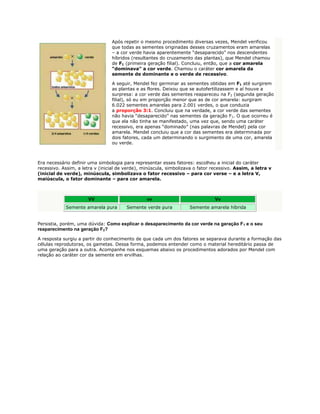 Após repetir o mesmo procedimento diversas vezes, Mendel verificou
                                 que todas as sementes originadas desses cruzamentos eram amarelas
                                 – a cor verde havia aparentemente “desaparecido” nos descendentes
                                 híbridos (resultantes do cruzamento das plantas), que Mendel chamou
                                 de F1 (primeira geração filial). Concluiu, então, que a cor amarela
                                 “dominava” a cor verde. Chamou o caráter cor amarela da
                                 semente de dominante e o verde de recessivo.

                                 A seguir, Mendel fez germinar as sementes obtidas em F1 até surgirem
                                 as plantas e as flores. Deixou que se autofertilizassem e aí houve a
                                 surpresa: a cor verde das sementes reapareceu na F2 (segunda geração
                                 filial), só eu em proporção menor que as de cor amarela: surgiram
                                 6.022 sementes amarelas para 2.001 verdes, o que conduzia
                                 a proporção 3:1. Concluiu que na verdade, a cor verde das sementes
                                 não havia “desaparecido” nas sementes da geração F1. O que ocorreu é
                                 que ela não tinha se manifestado, uma vez que, sendo uma caráter
                                 recessivo, era apenas “dominado” (nas palavras de Mendel) pela cor
                                 amarela. Mendel concluiu que a cor das sementes era determinada por
                                 dois fatores, cada um determinando o surgimento de uma cor, amarela
                                 ou verde.



Era necessário definir uma simbologia para representar esses fatores: escolheu a inicial do caráter
recessivo. Assim, a letra v (inicial de verde), minúscula, simbolizava o fator recessivo. Assim, a letra v
(inicial de verde), minúscula, simbolizava o fator recessivo – para cor verse – e a letra V,
maiúscula, o fator dominante – para cor amarela.



                      VV                         vv                             Vv
            Semente amarela pura        Semente verde pura          Semente amarela híbrida


Persistia, porém, uma dúvida: Como explicar o desaparecimento da cor verde na geração F1 e o seu
reaparecimento na geração F2?

A resposta surgiu a partir do conhecimento de que cada um dos fatores se separava durante a formação das
células reprodutoras, os gametas. Dessa forma, podemos entender como o material hereditário passa de
uma geração para a outra. Acompanhe nos esquemas abaixo os procedimentos adorados por Mendel com
relação ao caráter cor da semente em ervilhas.
 