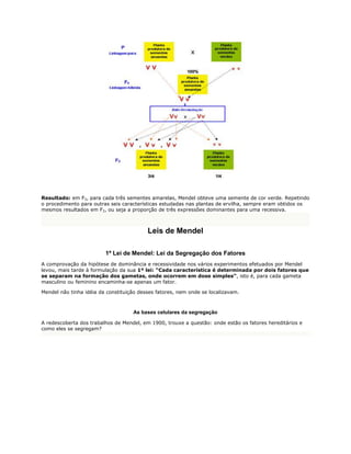 Resultado: em F2, para cada três sementes amarelas, Mendel obteve uma semente de cor verde. Repetindo
o procedimento para outras seis características estudadas nas plantas de ervilha, sempre eram obtidos os
mesmos resultados em F2, ou seja a proporção de três expressões dominantes para uma recessiva.



                                          Leis de Mendel

                         1ª Lei de Mendel: Lei da Segregação dos Fatores
A comprovação da hipótese de dominância e recessividade nos vários experimentos efetuados por Mendel
levou, mais tarde à formulação da sua 1º lei: “Cada característica é determinada por dois fatores que
se separam na formação dos gametas, onde ocorrem em dose simples”, isto é, para cada gameta
masculino ou feminino encaminha-se apenas um fator.

Mendel não tinha idéia da constituição desses fatores, nem onde se localizavam.



                                    As bases celulares da segregação

A redescoberta dos trabalhos de Mendel, em 1900, trouxe a questão: onde estão os fatores hereditários e
como eles se segregam?
 