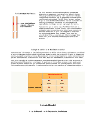 Em 1902, enquanto estudava a formação dos gametas em
                                        gafanhotos, o pesquisador norte americano Walter S. Sutton
                                        notou surpreendente semelhança entre o comportamento dos
                                        cromossomos homólogos, que se separavam durante a meiose,
                                        e os fatores imaginados por Mendel. Sutton lançou a hipótese
                                        de que os pares de fatores hereditários estavam localizados em
                                        pares de cromossomos homólogos, de tal maneira que a
                                        separação dos homólogos levava à segregação dos fatores.

                                        Hoje sabemos que os fatores a que Mendel se referiu são os
                                        genes (do grego genos, originar, provir), e que realmente estão
                                        localizados nos cromossomos, como Sutton havia proposto. As
                                        diferentes formas sob as quais um gene pode se apresentar
                                        são denominadas alelos. A cor amarela e a cor verde da
                                        semente de ervilha, por exemplo, são determinadas por dois
                                        alelos, isto é, duas diferentes formas do gene para cor da
                                        semente.




                             Exemplo da primeira lei de Mendel em um animal

Vamos estudar um exemplo da aplicação da primeira lei de Mendel em um animal, aproveitando para aplicar
a terminologia modernamente usada em Genética. A característica que escolhemos foi a cor da pelagem de
cobaias, que pode ser preta ou branca. De acordo com uma convenção largamente aceita, representaremos
por B o alelo dominante, que condiciona a cor preta, e por b o alelo recessivo, que condiciona a cor branca.

Uma técnica simples de combinar os gametas produzidos pelos indivíduos de F1 para obter a constituição
genética dos indivíduos de F2 é a montagem do quadrado de Punnet. Este consiste em um quadro, com
número de fileiras e de colunas que correspondem respectivamente, aos tipos de gametas masculinos e
femininos formados no cruzamento. O quadrado de Punnet para o cruzamento de cobaias heterozigotas é:




                                                      Gametas maternos

                                                       B                 b

                                                      BB                 Bb

                                                     Preto              Preto
                                           B
                         Gametas paternos             Bb                 bb

                                           b         Preto             Branco




                                          Leis de Mendel

                         1ª Lei de Mendel: Lei da Segregação dos Fatores
 