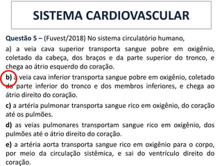 Questão 5 – (Fuvest/2018) No sistema circulatório humano,
a) a veia cava superior transporta sangue pobre em oxigênio,
coletado da cabeça, dos braços e da parte superior do tronco, e
chega ao átrio esquerdo do coração.
b) a veia cava inferior transporta sangue pobre em oxigênio, coletado
da parte inferior do tronco e dos membros inferiores, e chega ao
átrio direito do coração.
c) a artéria pulmonar transporta sangue rico em oxigênio, do coração
até os pulmões.
d) as veias pulmonares transportam sangue rico em oxigênio, dos
pulmões até o átrio direito do coração.
e) a artéria aorta transporta sangue rico em oxigênio para o corpo,
por meio da circulação sistêmica, e sai do ventrículo direito do
coração.
SISTEMA CARDIOVASCULAR
 