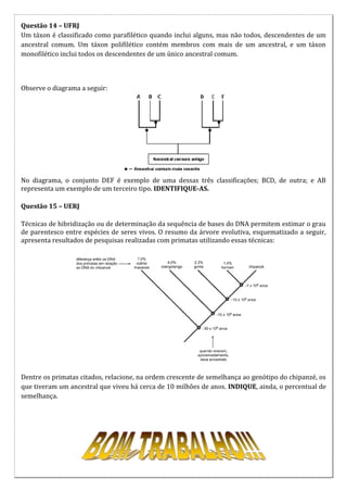 Questão 14 – UFRJ
Um táxon é classificado como parafilético quando inclui alguns, mas não todos, descendentes de um
ancestral comum. Um táxon polifilético contém membros com mais de um ancestral, e um táxon
monofilético inclui todos os descendentes de um único ancestral comum.



Observe o diagrama a seguir:




No diagrama, o conjunto DEF é exemplo de uma dessas três classificações; BCD, de outra; e AB
representa um exemplo de um terceiro tipo. IDENTIFIQUE-AS.

Questão 15 – UERJ

Técnicas de hibridização ou de determinação da sequência de bases do DNA permitem estimar o grau
de parentesco entre espécies de seres vivos. O resumo da árvore evolutiva, esquematizado a seguir,
apresenta resultados de pesquisas realizadas com primatas utilizando essas técnicas:




Dentre os primatas citados, relacione, na ordem crescente de semelhança ao genótipo do chipanzé, os
que tiveram um ancestral que viveu há cerca de 10 milhões de anos. INDIQUE, ainda, o percentual de
semelhança.
 
