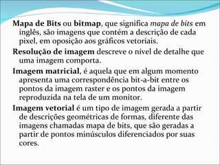 Mapa de Bits  ou  bitmap , que significa  mapa de bits  em inglês, são imagens que contém a descrição de cada pixel, em oposição aos gráficos vetoriais. Resolução de imagem  descreve o nível de detalhe que uma imagem comporta. Imagem matricial , é aquela que em algum momento apresenta uma correspondência bit-a-bit entre os pontos da imagem raster e os pontos da imagem reproduzida na tela de um monitor. Imagem vetorial  é um tipo de imagem gerada a partir de descrições geométricas de formas, diferente das imagens chamadas mapa de bits, que são geradas a partir de pontos minúsculos diferenciados por suas cores. 